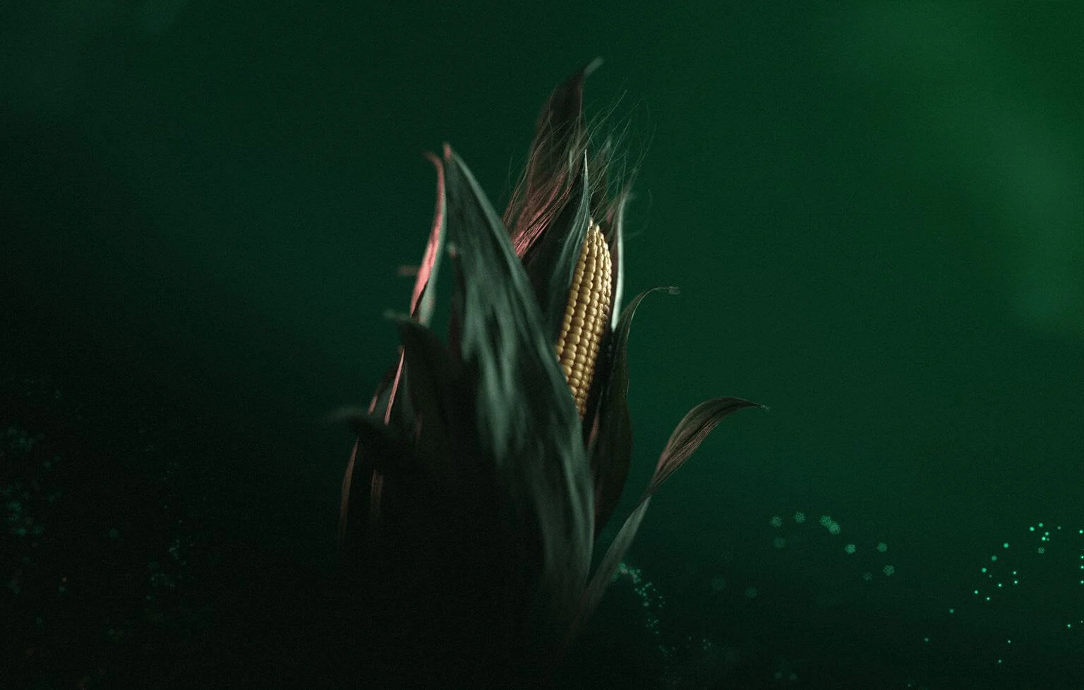Corn Revolution